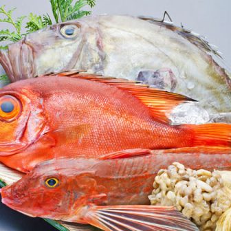 九頭竜蕎麦