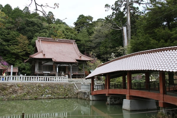 シャクナゲの寺福成寺