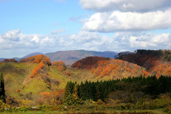 秋田県由利本荘市