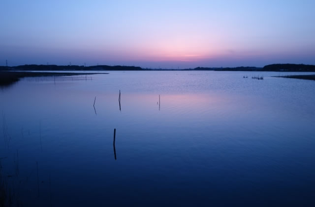 印旛沼の夕景