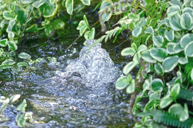 湧き水