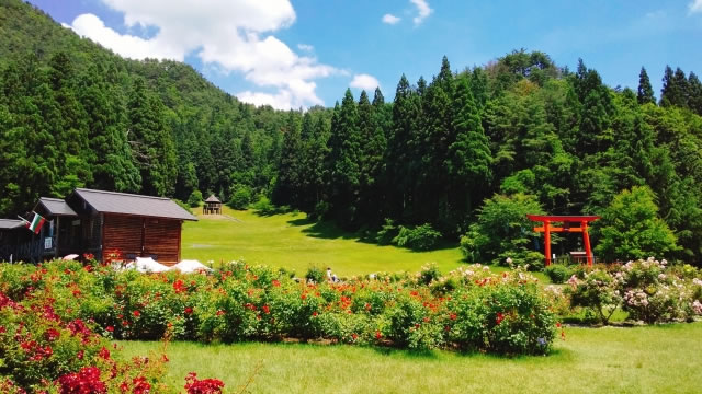 東沢バラ公園の風景