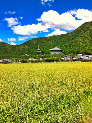 福井県勝山市の風景