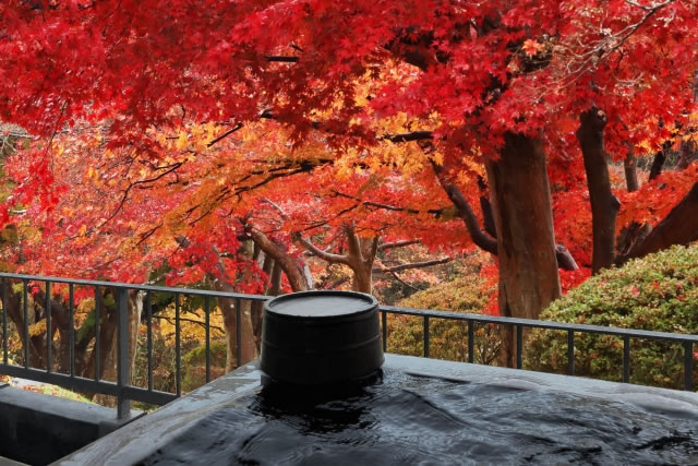 紅葉や温泉旅行と楽しむ秋の地酒
